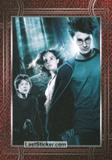 061 Harry Potter - Welcome to Hogwarts (PANINI) 