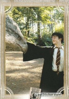 065 Harry Potter - Welcome to Hogwarts (PANINI) 
