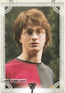 103 Harry Potter - Welcome to Hogwarts (PANINI) 